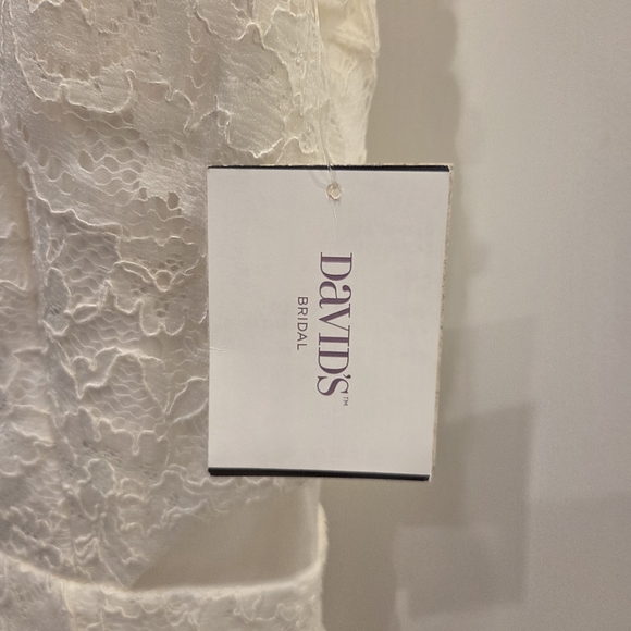 Xscape Ivory Lace Wedding Dress - Picture 6 of 6